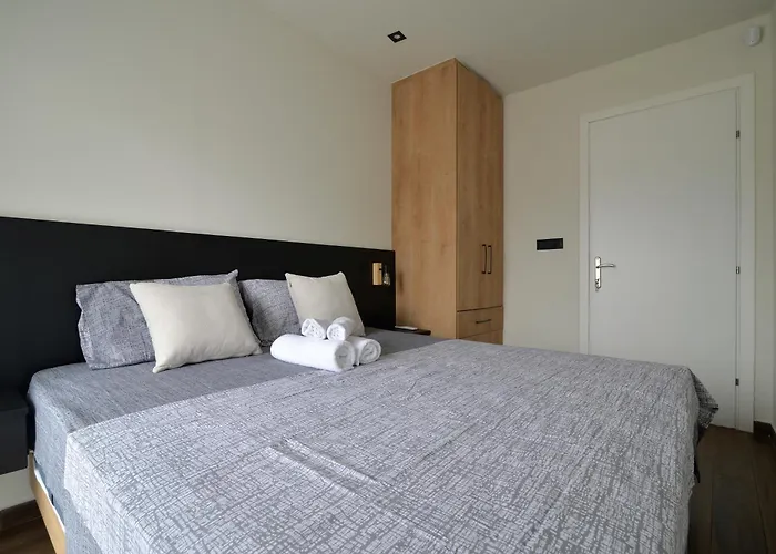 Felina ليبتوكاريا